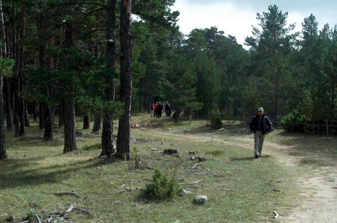 Sierra De Gudar Gúdar Exterior foto